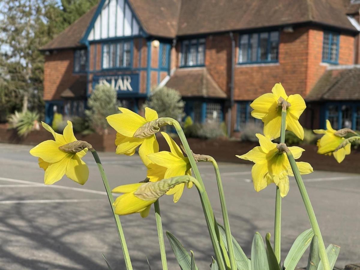 The Star Inn Lingfield Dış mekan fotoğraf