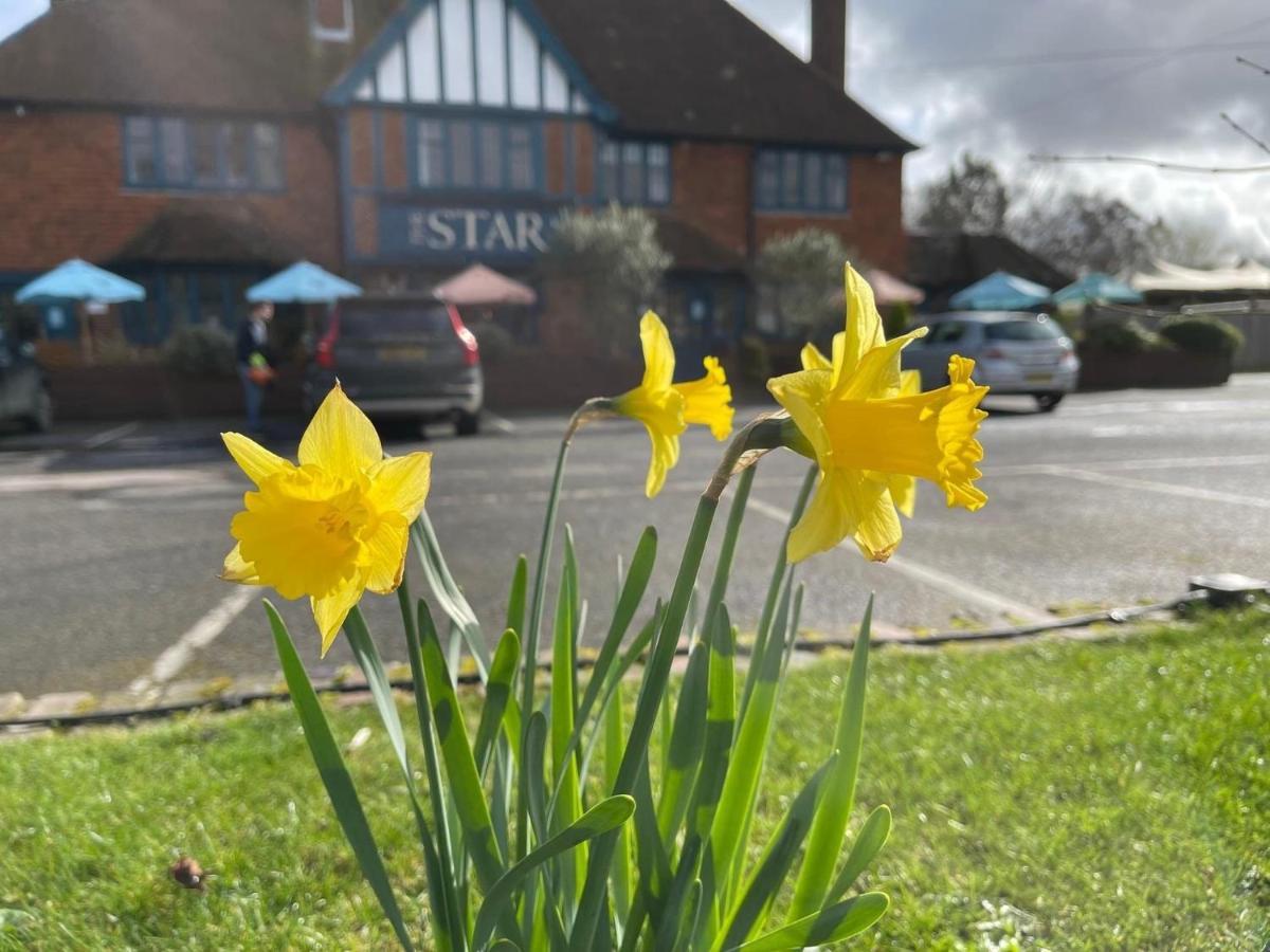 The Star Inn Lingfield Dış mekan fotoğraf