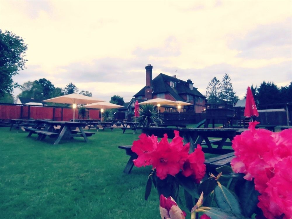 The Star Inn Lingfield Dış mekan fotoğraf